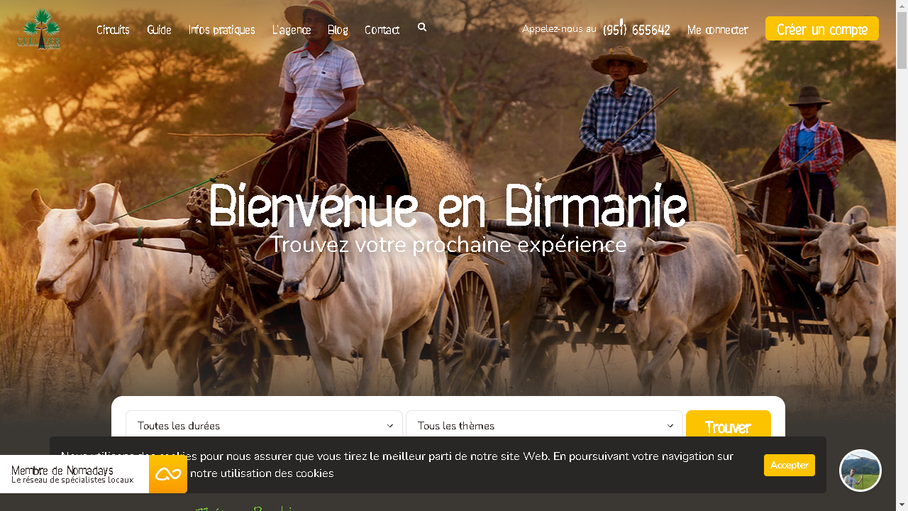 Capture d'écran de https://www.voyagebirmanie.fr/